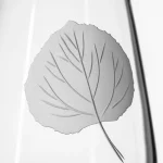 Aspen Leaf 18oz Stemless Wine Tumbler Glass | Set of 2 - Image 4